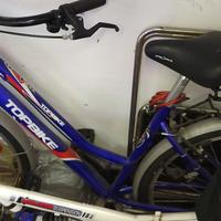 BICICLETTA DA PASSEGGIO