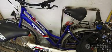 BICICLETTA DA PASSEGGIO