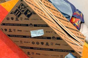 Coppia Proiettori Jeep Compass