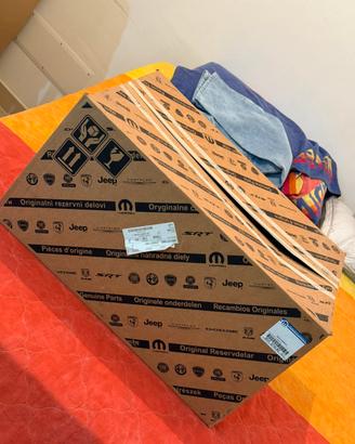 Coppia Proiettori Jeep Compass