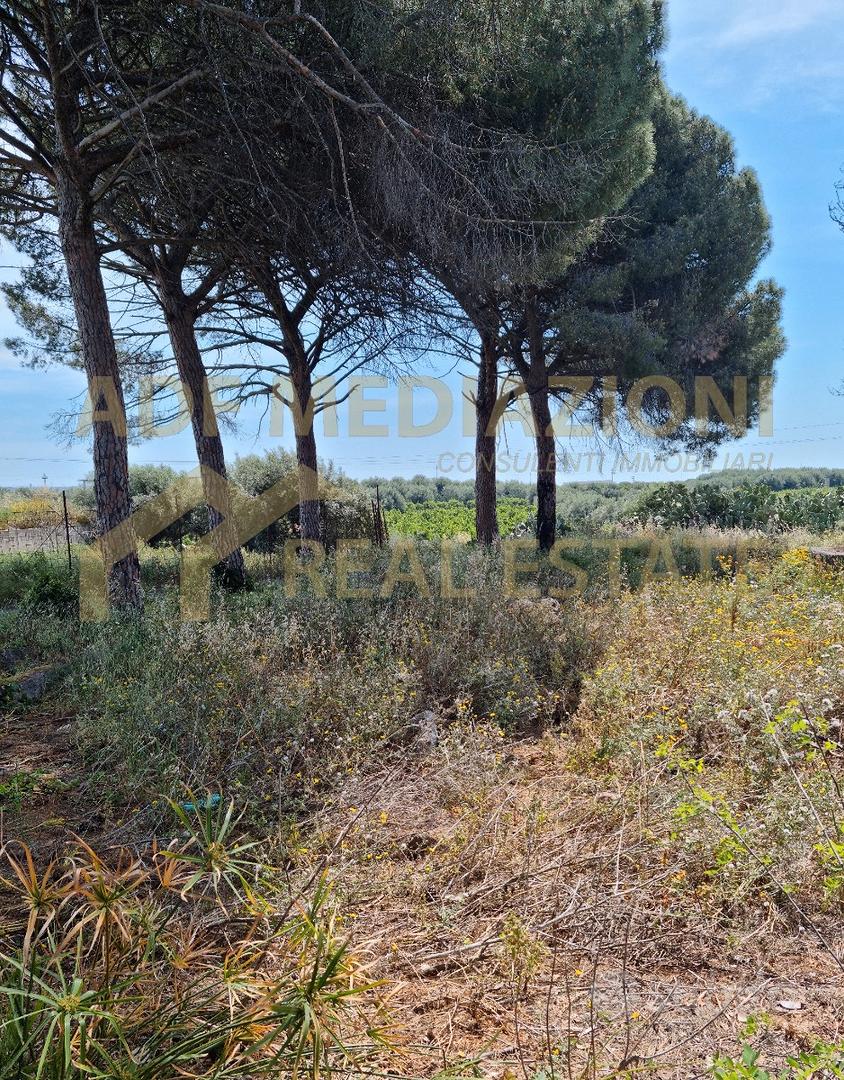 Terreno Con Casa Accatastata - Vista 2