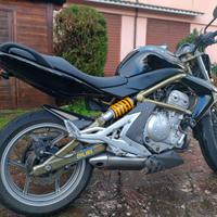 Kawasaki Er 6n 2006 sospensioni Ohlins + Andreani