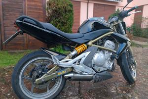 Kawasaki Er 6n 2006 sospensioni Ohlins + Andreani