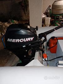 Mercury 20 CV 4T