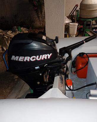 Mercury 20 CV 4T