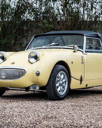 Austin Healey Altro Sprite MK1 Frog Eye