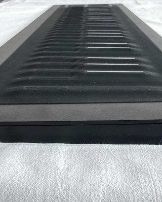 ROLI Seaboard RISE 2 49 tasti + custodia