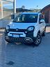 fiat-panda-cross-1-3-mjt-95-cv-s-s-4x4