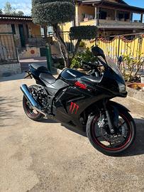 Kawasaki Ninja 250r