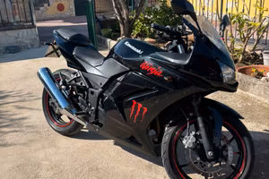 Kawasaki Ninja 250r
