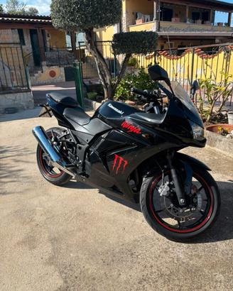 Kawasaki Ninja 250r