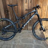 MTB Focus spine 