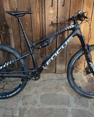 MTB Focus spine 