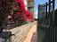 Immagine 18