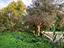 Immagine 28