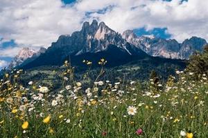 VACANZA ad OTTOBRE a FIERA di PRIMIERO 2/3xsone