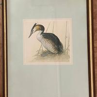 quadri natura stampe