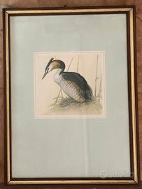 quadri natura stampe