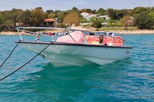 Barca Boston Whaler 130 Sport