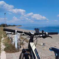 Bici MTB Cube 29 mono corona 13 marce