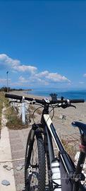 Bici MTB Cube 29 mono corona 13 marce