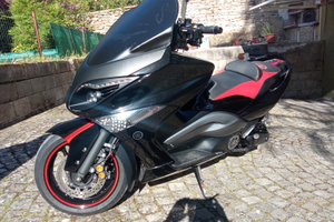 T max del 2009