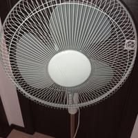 Ventilatore da terra