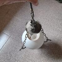 Lampadario
