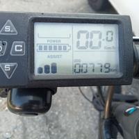 Bicicletta elettrica