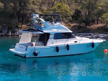 FAETON MORAGA 11.80 Fly