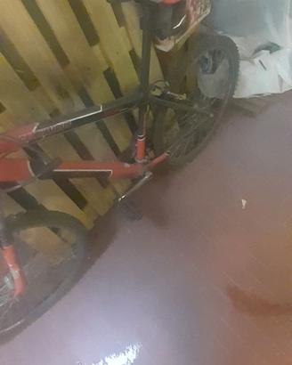 Montanbike
