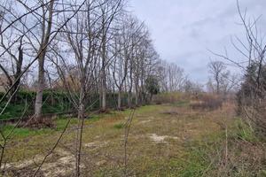 TERRENO PER PARCHEGGIO/PIAZZALE AUTO