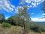 Immagine 20
