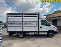 iveco-daily-35c13-130cv-trasporto-bestiame