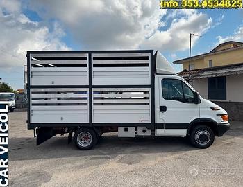IVECO DAILY 35C13/ 130CV  TRASPORTO BESTIAME