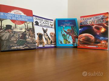 Lotto 4 libri ragazzi