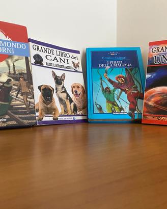 Lotto 4 libri ragazzi