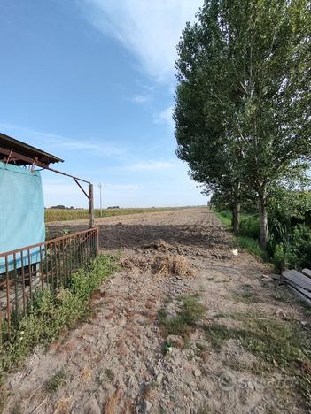 Terreno Agricolo Adria [A4298VCG]