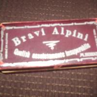 Armonica Bravi Alpini