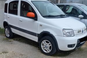 Fiat Panda 1.3 MJT 4x4 OK NEOPATENTATI