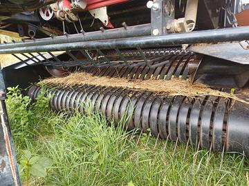 Rotopressa gallignani