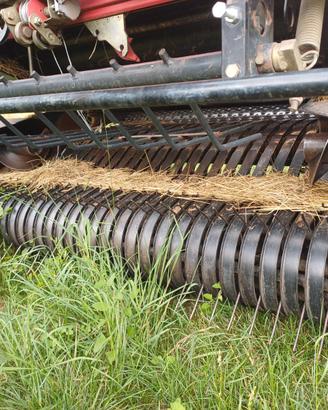 Rotopressa gallignani