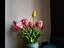 Immagine 6
