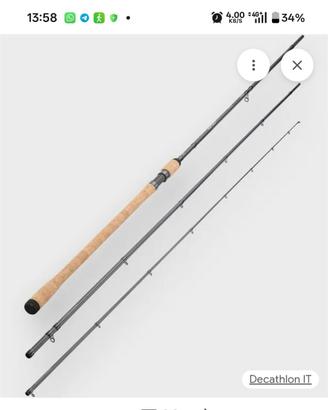 2 Canne da pesca:  inglese e da spinning