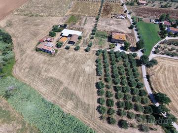 TER. AGRICOLO A GIULIANOVA