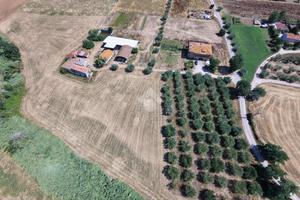 TER. AGRICOLO A GIULIANOVA