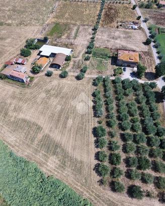 TER. AGRICOLO A GIULIANOVA