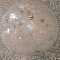 Plafoniera in vetro satinato 
