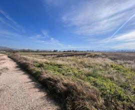 Terreno Agricolo Narni [cod. rif6030276VRG]