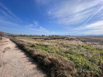 Terreno Agricolo Narni [cod. rif6030276VRG]